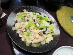 -椿不老