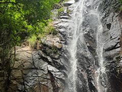 -东莞市大岭山森林公园