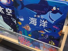 -泡泡玛特POPMART(赛格国际购物中心店)