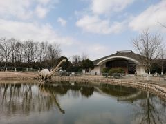 -上海海湾国家森林公园