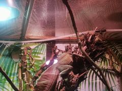 -正佳雨林生态植物园