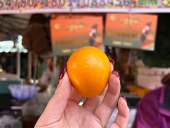 -南坛综合农贸市场