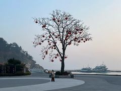 -青岛崂山太清宫