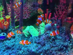 -沈阳海洋探索中心