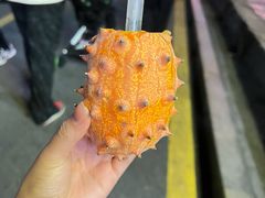 -八卦楼风琴博物馆