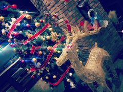 -LYFATTI 莱芙缇(赣水路店)