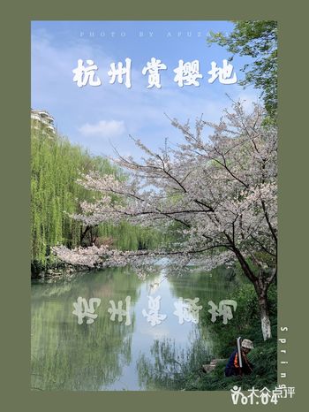 雨前再拍一次樱花｜葵巷