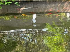 -杭州植物园