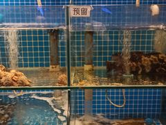 -佳兰雅序融合菜(高新店)