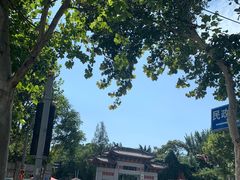 -山东大学(趵突泉校区)