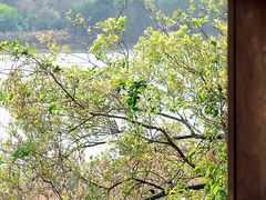 -华侨城湿地公园