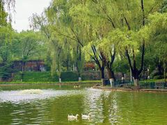 -西安市长乐公园