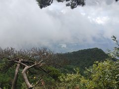 -含鄱口