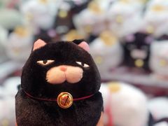 -LLJ夹机占(正佳广场店)