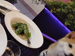 -blue frog蓝蛙(长泰广场店)