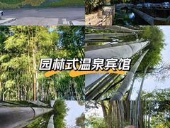 -广东温泉宾馆