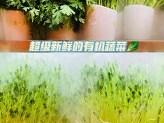 -串一火锅(赛格国际购物中心店)