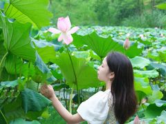 -白鹭湾湿地公园