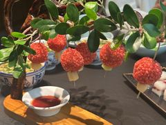 -唐猫庭院·千年陕菜(赛格国际购物中心店)