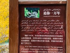 -可可托海景区
