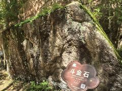 -汤旺河林海奇石景区