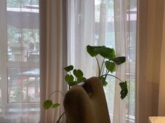 -子霖南山鲜虾面(南山总店)