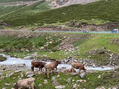 -新疆那拉提国家旅游度假区