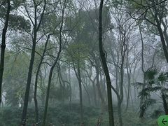 -中国茶叶博物馆(双峰馆区)