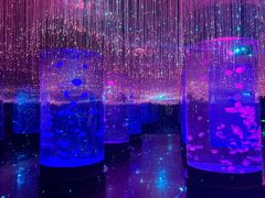 -波塞冬旅游度假区