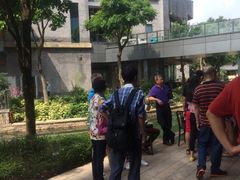 -陈鹏鹏潮汕菜(欢乐海岸 海边景观店)
