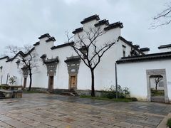 -广富林郊野公园