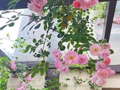 -重庆市江北嘴中央商务区中央公园