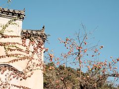 -篁岭景区