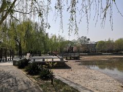 -望湖公园