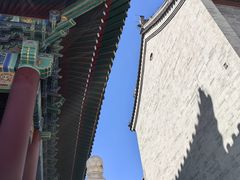 -天津大悲禅院