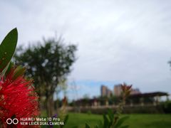 -府河摄影公园