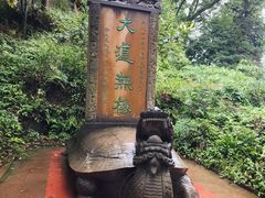 -青城山