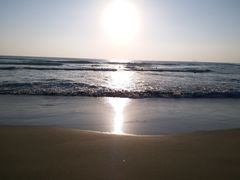 -100蛋泥浆浴