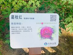 -仁和公园(顺义区)