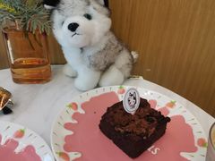 -Husky Go! 哈士奇体验馆·宠物咖啡厅狗咖