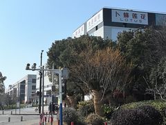 -浦江城市生活广场(江月路店)