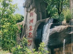-新洲生态园