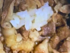 -吉野家(枫合万嘉店)