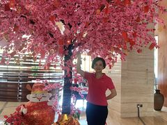 -三亚凤凰水城凯莱度假酒店