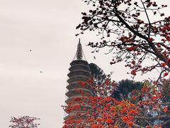 -南普陀寺