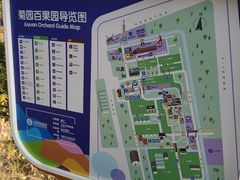 -菊园百果园