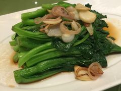 -锦江宾馆-花园餐厅