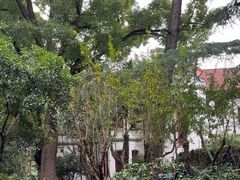 -申粤轩酒楼·三十年粤菜经典(丁香花园店)