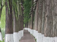 -东湖生态旅游风景区