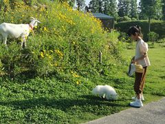 -前小桔亲子创意农场·草莓采摘·露营烧烤